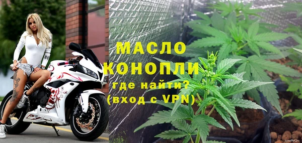 дмт Елабуга