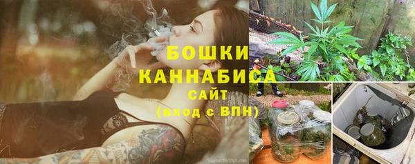 дмт Елабуга