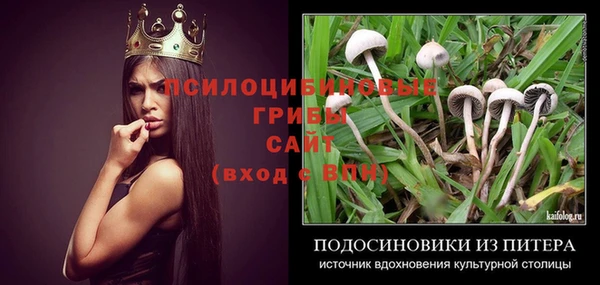 дмт Елабуга