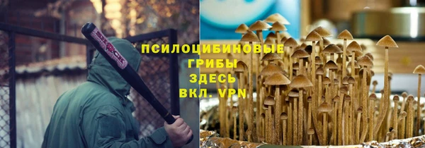 дмт Елабуга